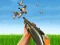Bird Hunting — free online game