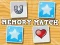 Spill Memory Match online