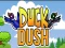 Duck Dash  — free online game