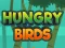 Hungry Birds — free online game