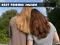Gêm Best Friends Jigsaw ar-lein