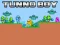 Tunno Boy — free online game