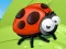 Ladybug Slide — free online game