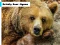 Grizzly Bear Jigsaw — free online game