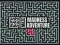 Maze Madness Adventure — free online game
