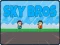 Sky Bros — free online game