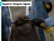 Emperor Penguin Jigsaw — free online game