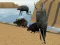 Mouse Race Islands — free online game