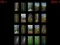 Forest memory — free online game