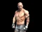 Fight Arena Online — free online game