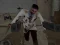 Residence of Evil: Quarantine — free online game