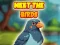 Meet The Birds  — free online game