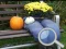 Autumn Garden Find 100 butterflies — free online game