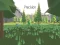 Precision  — free online game