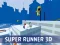 Super Runner 3d  — free online game
