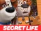 The Secret Life of Pets Jigsaw Puzzle — free online game