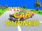 CAR RUNNER — free online game