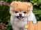 Cute Dogs Jigsaw Puzlle — free online game