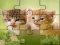 Cute Cats Puzzle  — free online game