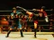 Fighters in the Ring — free online game