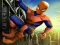 Spider Skate  — free online game