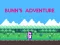 Bunn's Adventure – ingyenes online játék