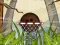 Coconut Basketball — free online game