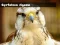 Mchezo Gyrfalcon Jigsaw online