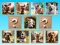 Doggie Duo Discoveries — free online game