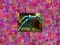 Huggy Wuggy Puzzle — free online game