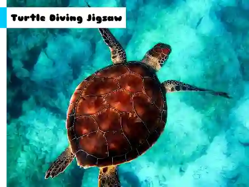 Turtle Diving Jigsaw — free online game