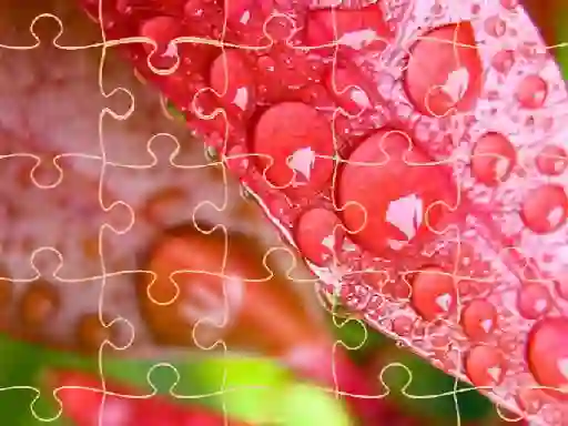 Leikur Jigsaw Puzzles á netinu