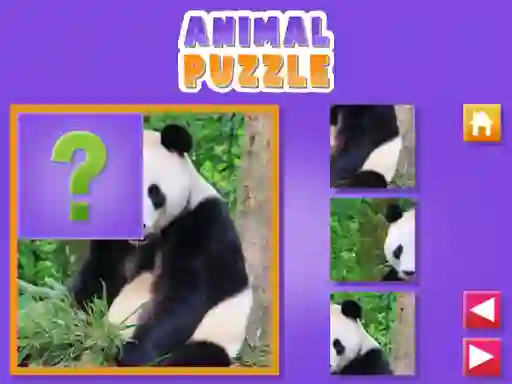 Animal Puzzle — free online game