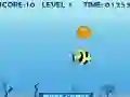Fish Survival