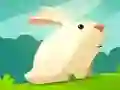 Greedy Rabbit Greedy Rabbit