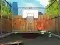 Basketball Hoops