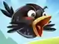 Crazy Birds 2 Crazy Birds 2