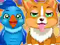 Learning Pets Doctor Learning Pets Doctor