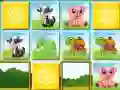 Animals Cards Match 