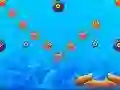 Blowfish 