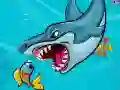 Fatshark Fatshark