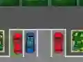 Parking Passion 
