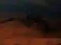 Insects Alien Shooter Insects Alien Shooter