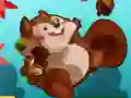 Going Nuts!