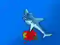 Shark Attack