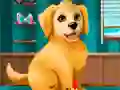 Become a Puppy Groomer