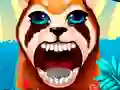 Become An Animal Dentist Become An Animal Dentist