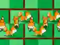 Shiba rescue : dogs and puppies Shiba rescue : dogs and puppies