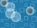 Bubble Rain Bubble Rain