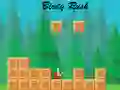 Birdy Rush